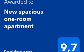 New Spacious One-Room Apartment